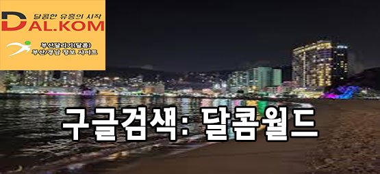 부산 달리기