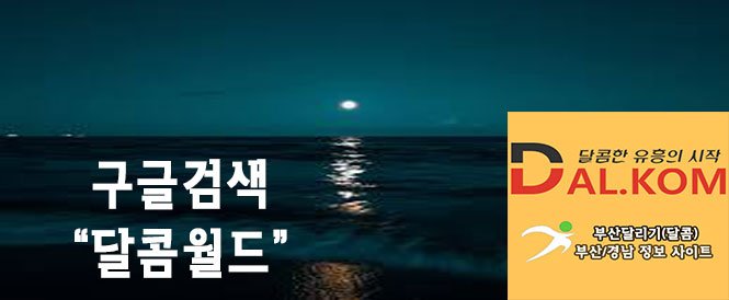 부산 달리기