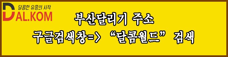 부산달리기
